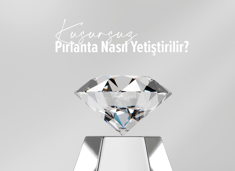 Pırlanta Hakkında